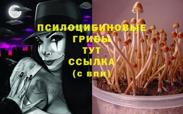 трава Алексин