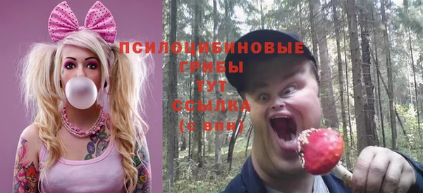 spice Алзамай
